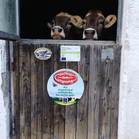 Angarterhof Gospodarstwo agroturystyczne Walchsee